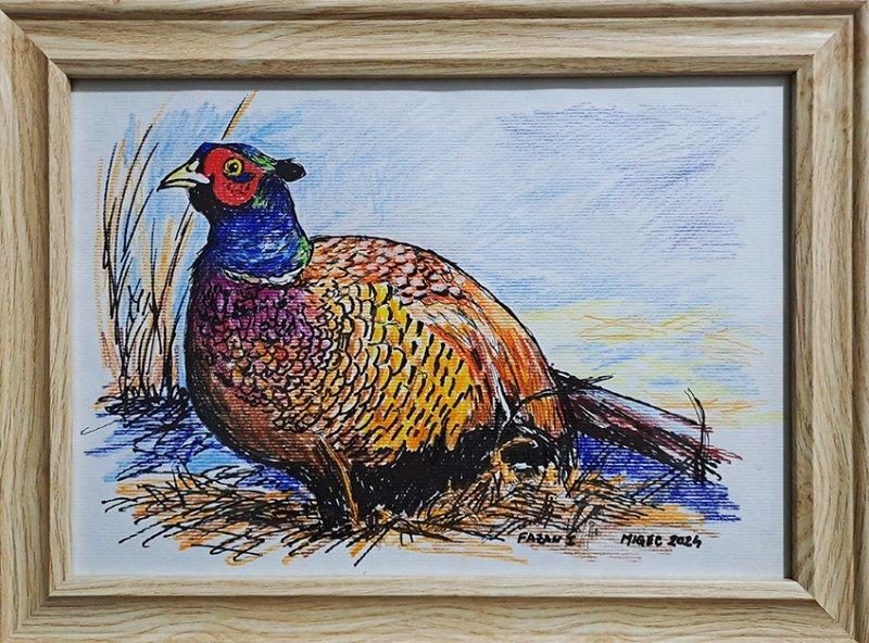 No - 49 - Fazan, Slika Migec Art