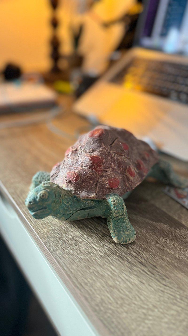 Lutajuca kornjaca, Skulptura Ivana Ridjicki