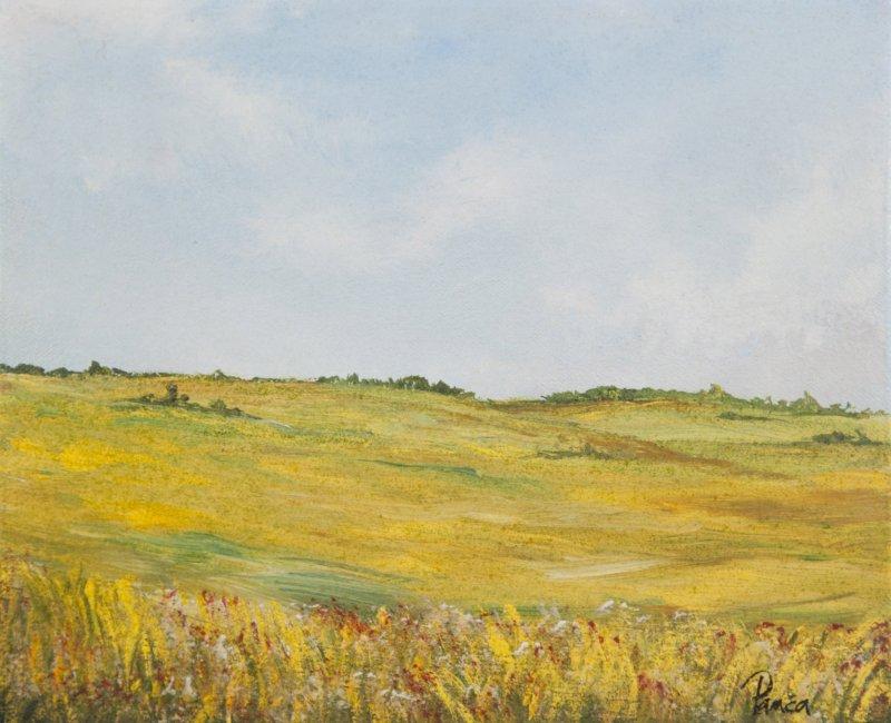 Golden meadow, Painting Slaviša  Petković Panča