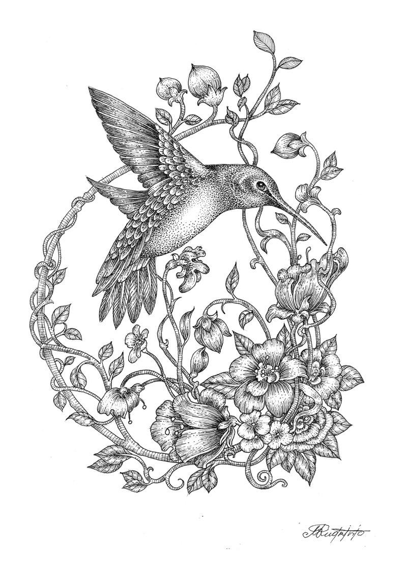 Hummingbirds, Drawing Radomir  Mudrinic