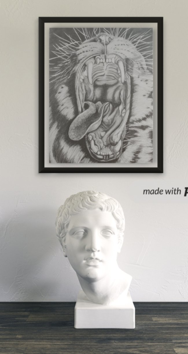 Drawing of a tiger, Drawing Dunja Lalić