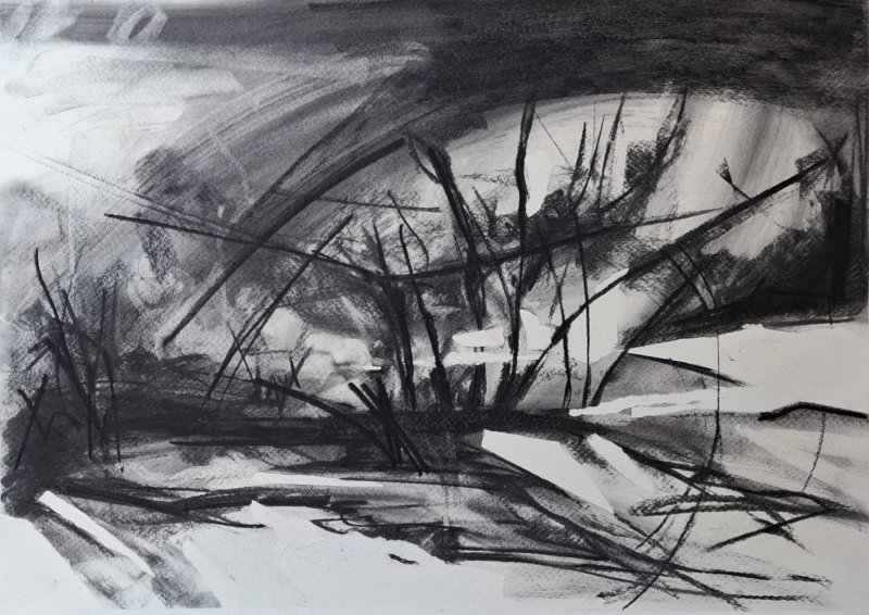 The charcoal tempest, Drawing Jovana  Bojić