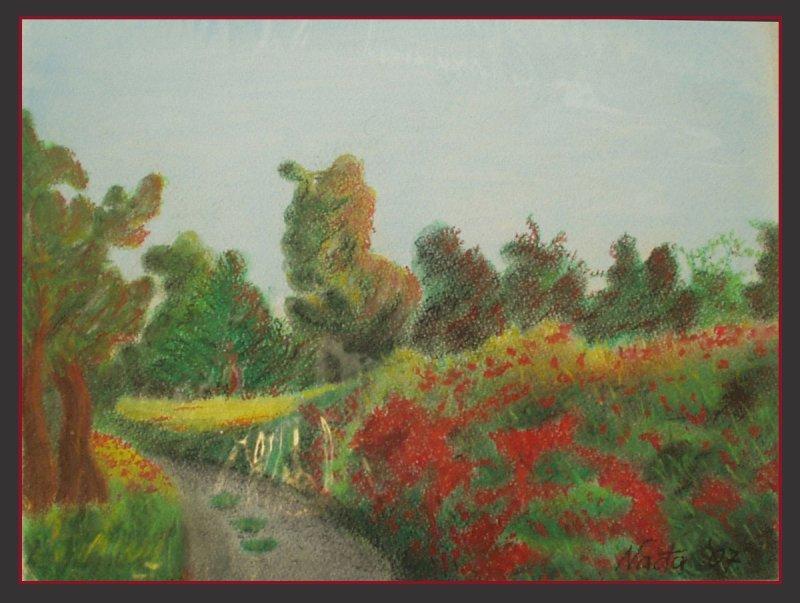 Poppies from Vojvodina_Serbia