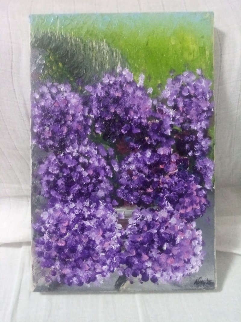 Hydrangeas