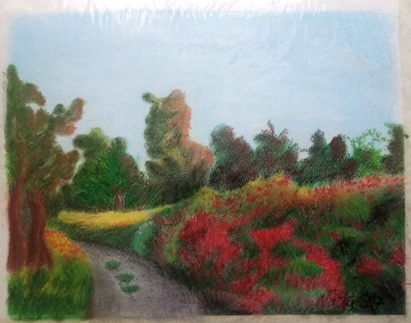 Poppies from Vojvodina_Serbia, Painting Nadja