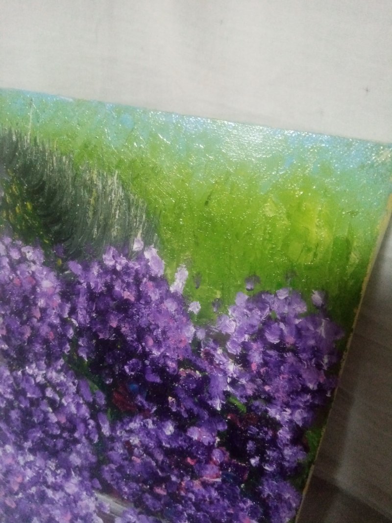 Hortenzije, Slika Nadja