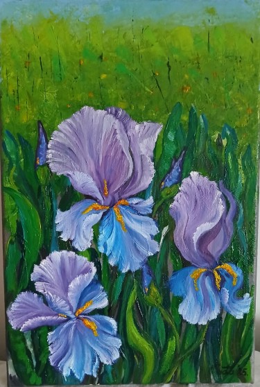 Iris