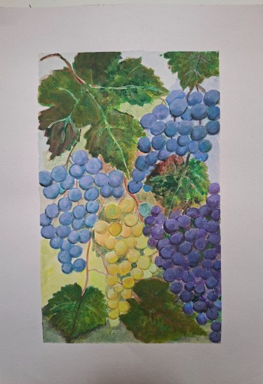 Grapes