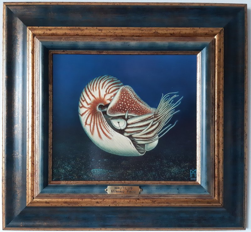 Nautilus, Slika Milenko Perić