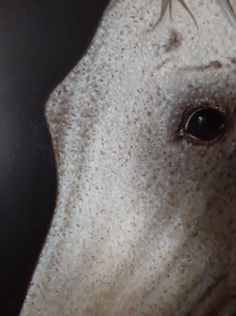 Horse, Painting Milenko Perić