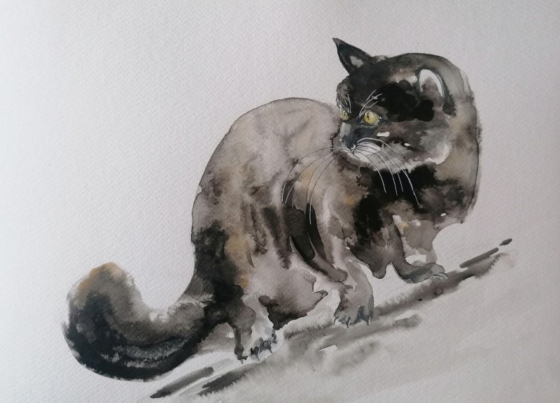 Cat, Painting Zorica Bugarski