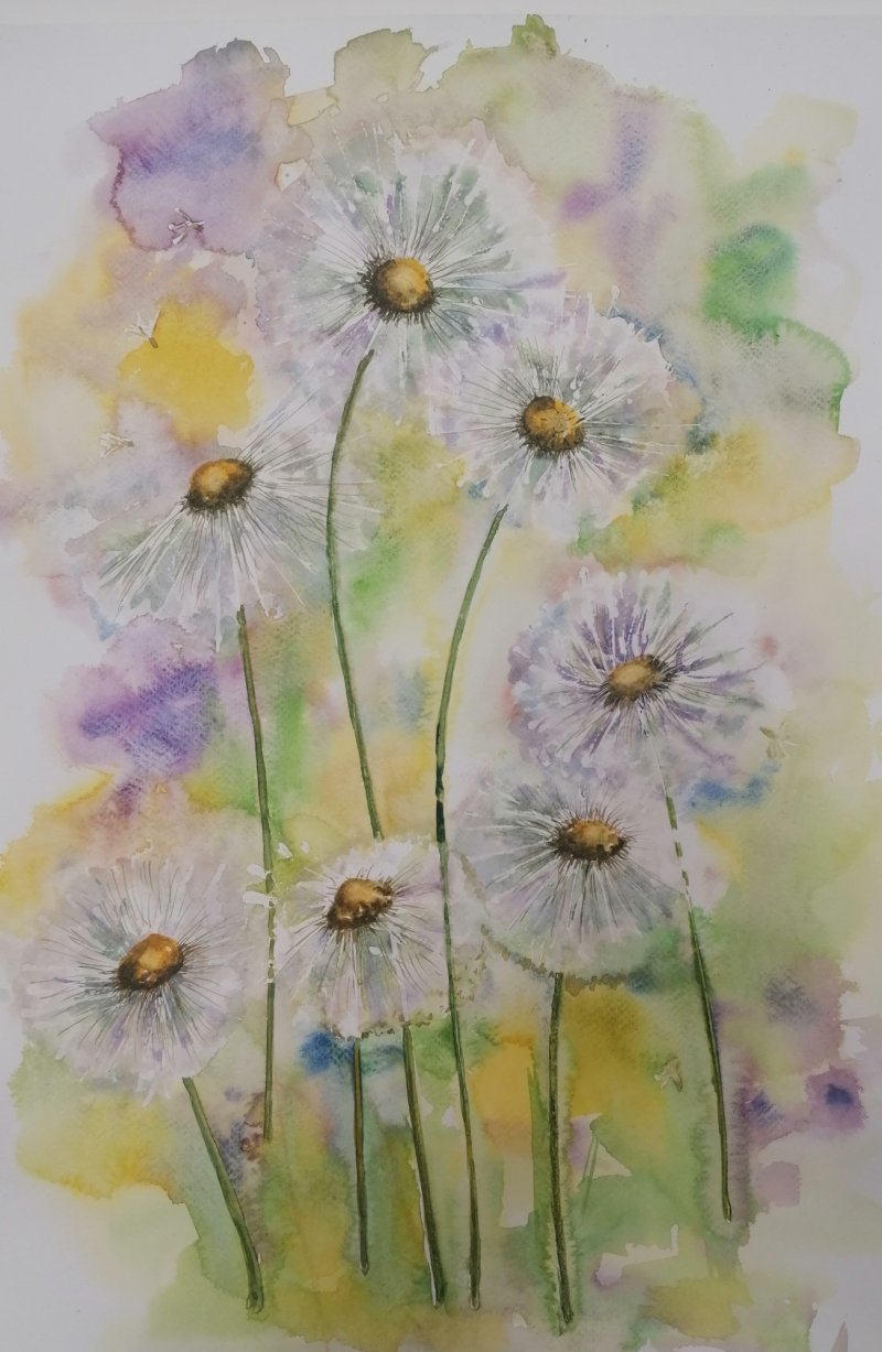 Dandelion, Painting Zorica Bugarski
