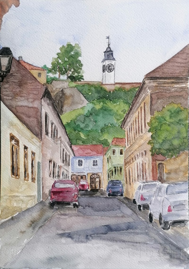 Petrovaradin, Slika Zorica Bugarski