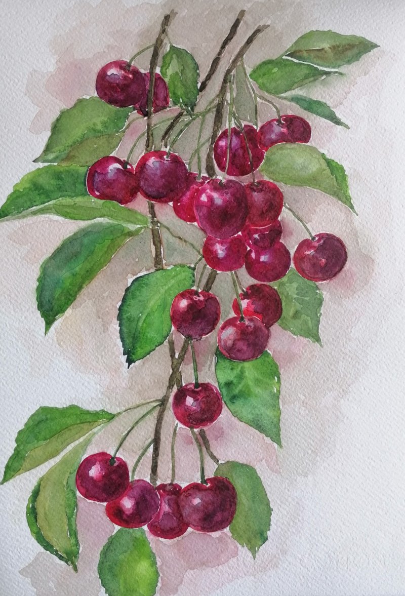 Cherries, Painting Zorica Bugarski