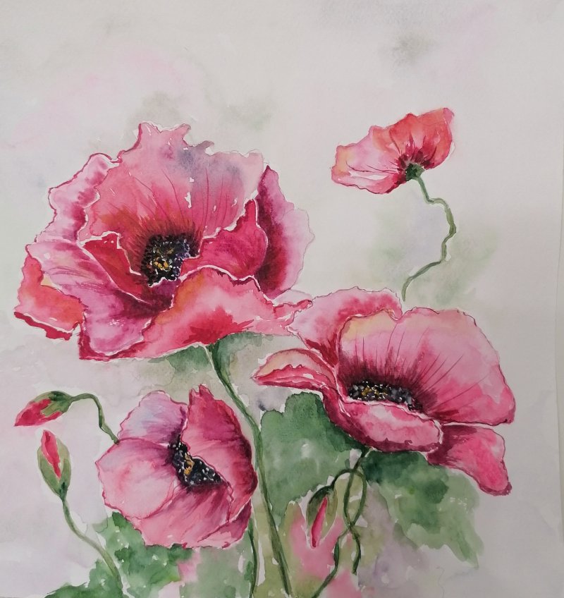Poppies, Painting Zorica Bugarski