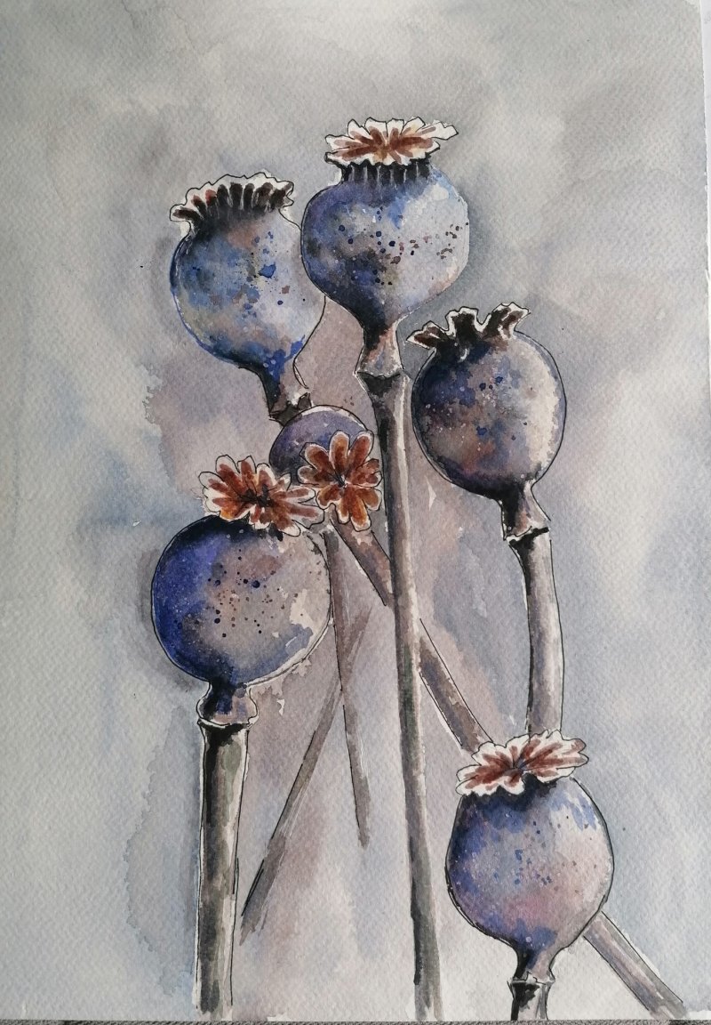 Poppies, Painting Zorica Bugarski
