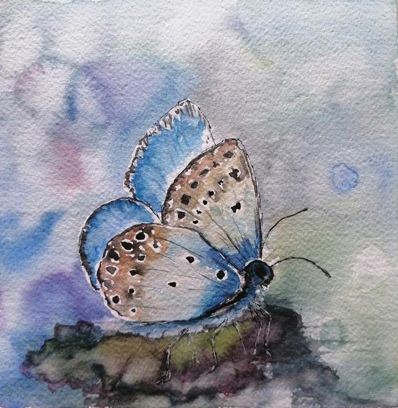 Leptir, Slika Zorica Bugarski