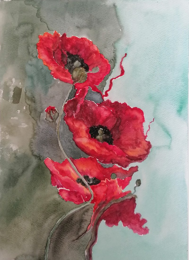 Red poppies, Painting Zorica Bugarski