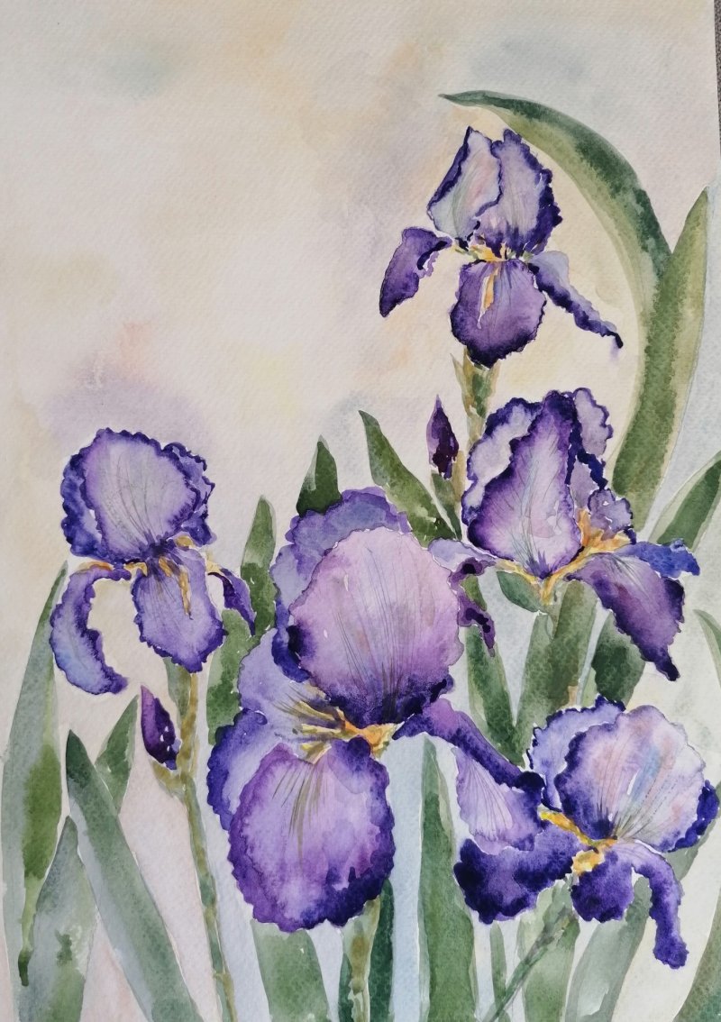 Irises, Painting Zorica Bugarski