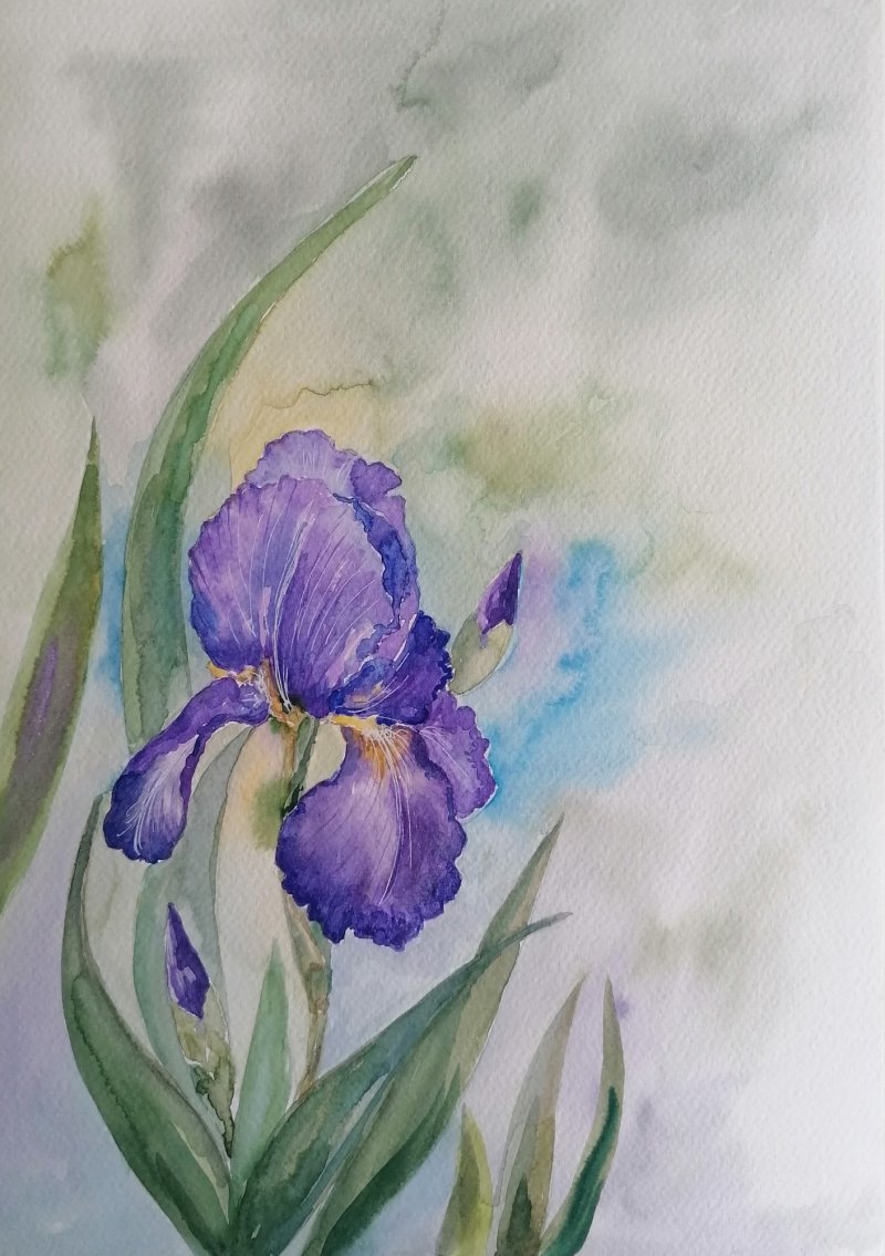 Iris, Painting Zorica Bugarski