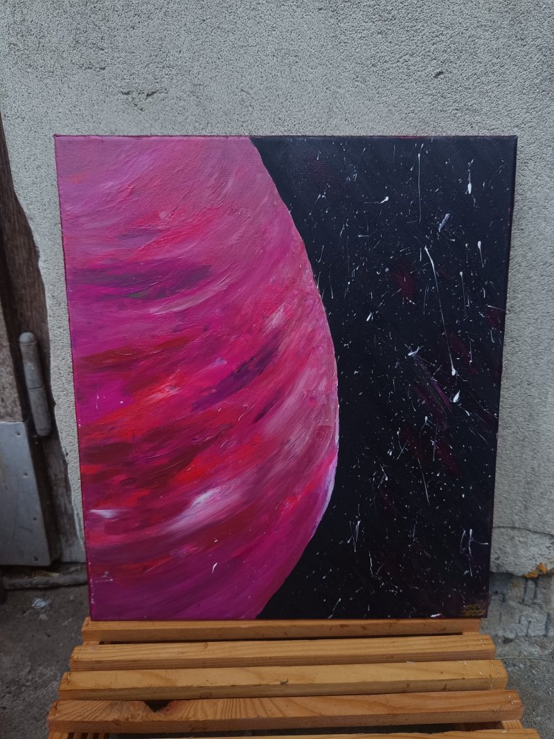Pink planet, Slika Tamara 95