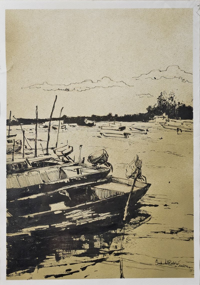 Dunav, Crtež Sandra Ninić Petrić