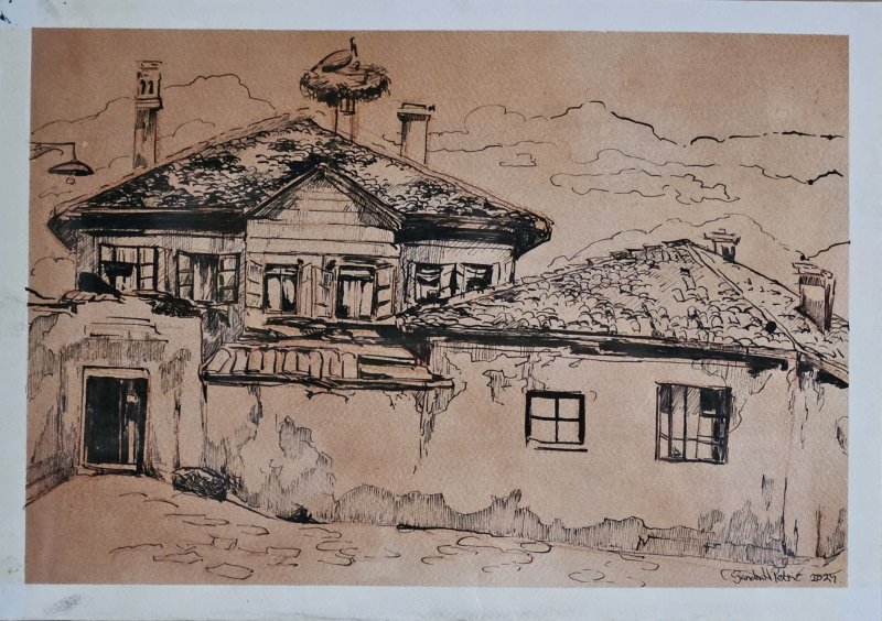 Stork on the chimney, Drawing Sandra Ninić Petrić