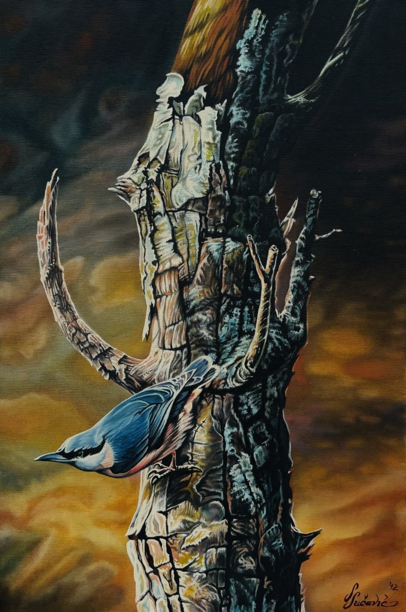 Pticica, Slika Stevan Sucevic