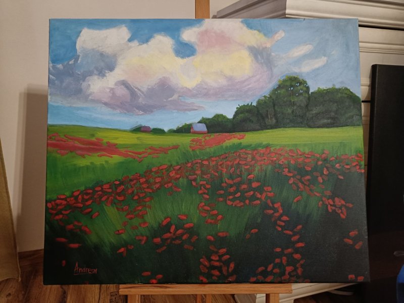 Poppy field, Painting Andrea Radovanovic