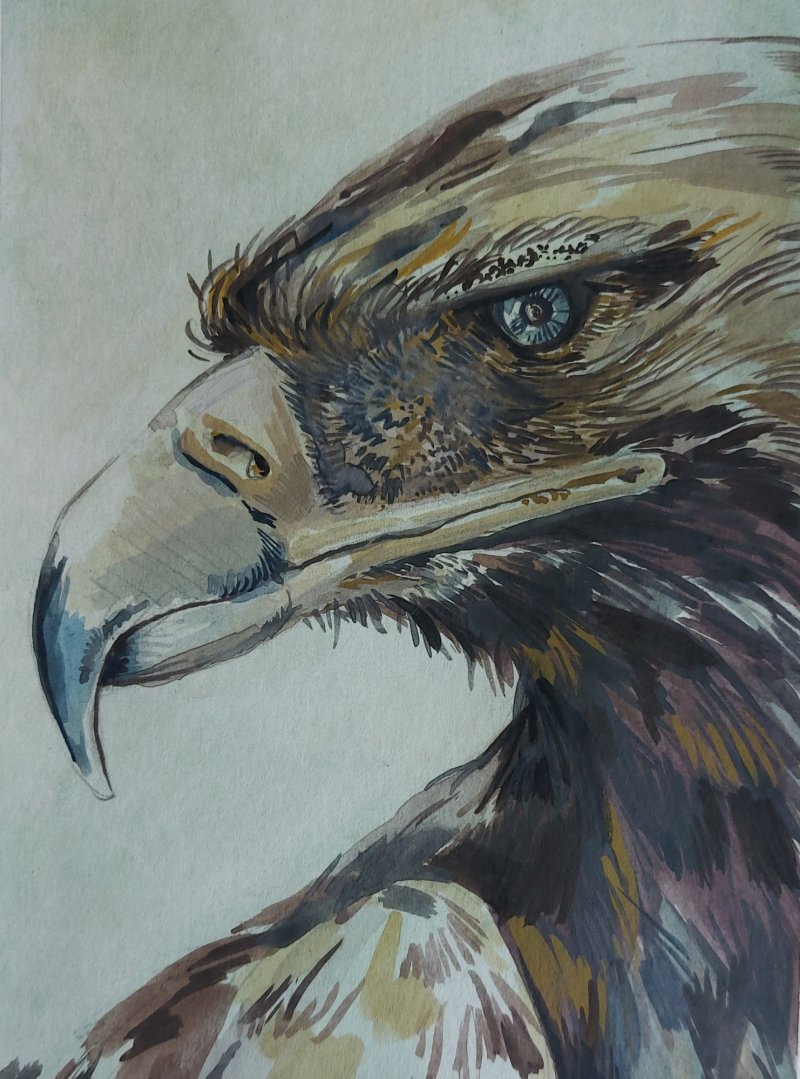 Bird, Painting Aleksandra Milojkovic