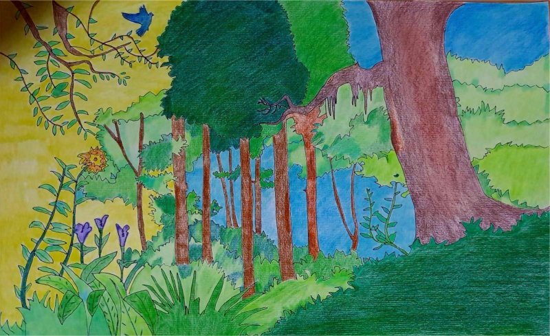 Forest landscape, Painting Jelena  Šuleski