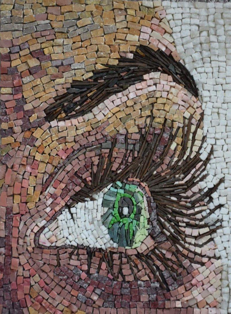 The eye