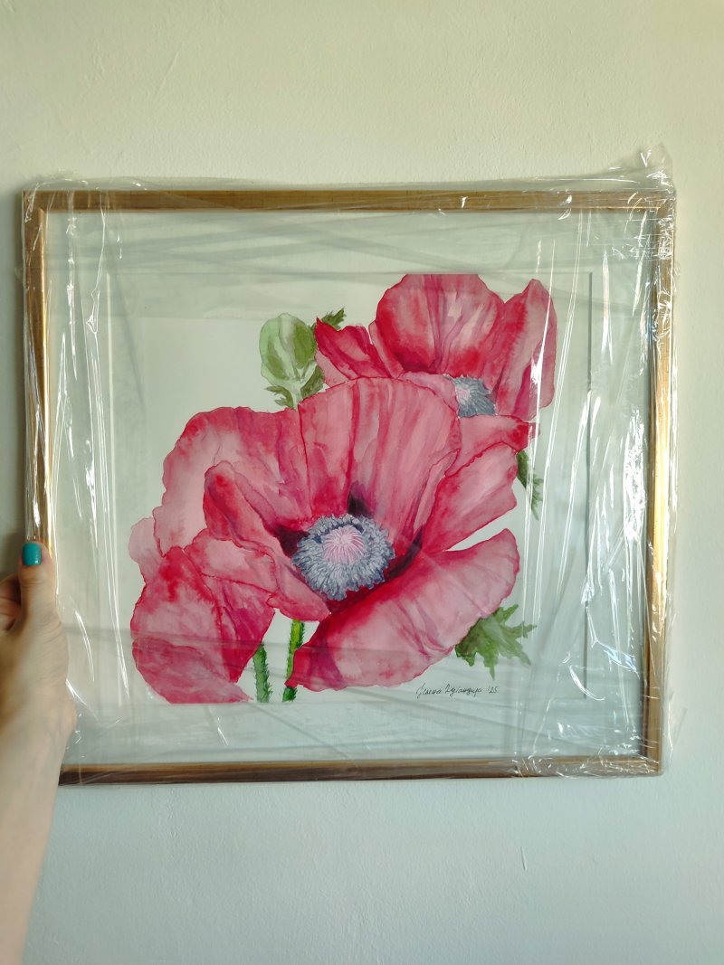 Poppies, Painting Jelena Dugandzija