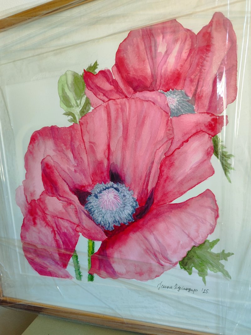 Poppies, Painting Jelena Dugandzija
