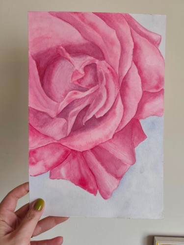 Rose