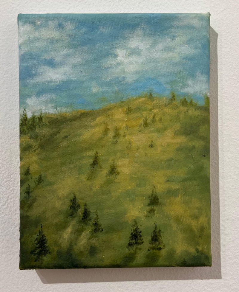 Vastness, Painting Katarina Vujnovic