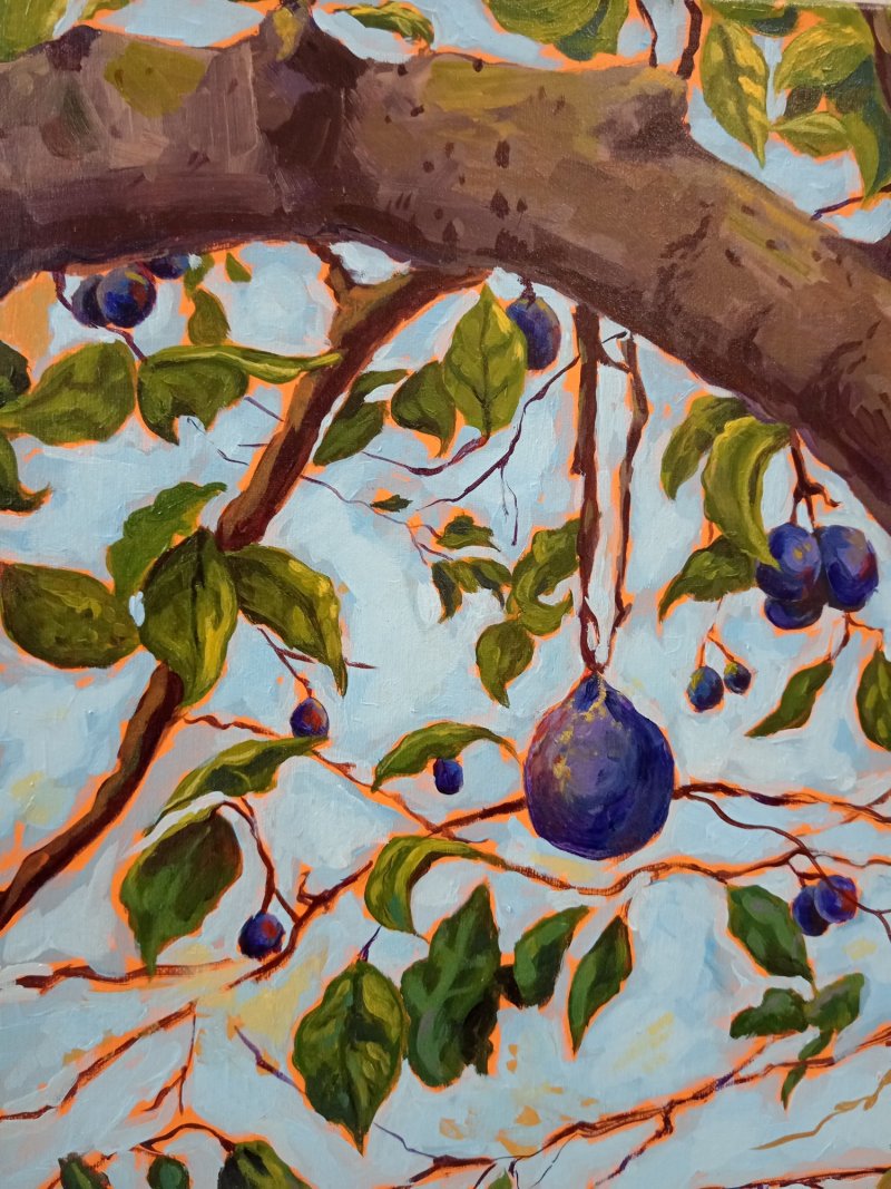Happy plums, Painting Katarina Vujnovic