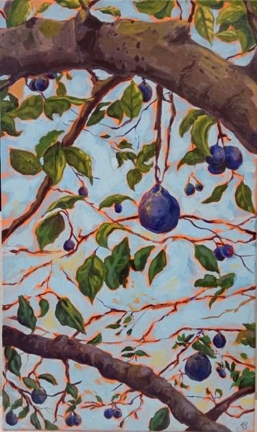 Happy plums