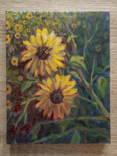 Sunflowers