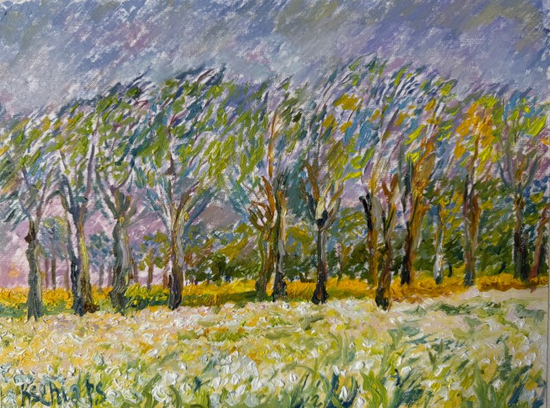 field Japan, Painting KSENIIA  Stafeeva