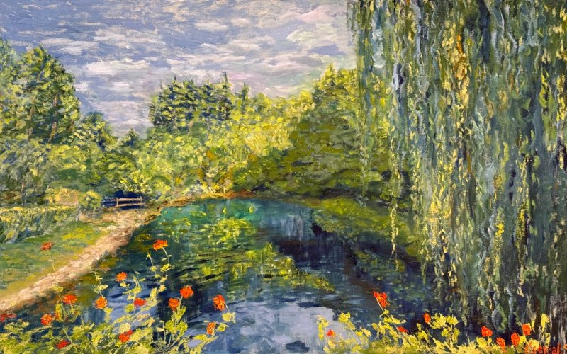 Pond in the light