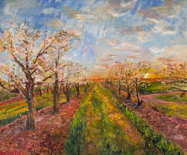 Spring Gardens