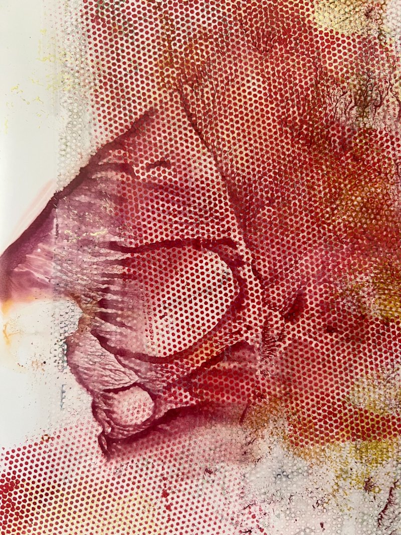 No name, Painting Jelena Simić