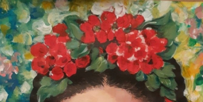 Frida k2, Slika Emilija Nesic