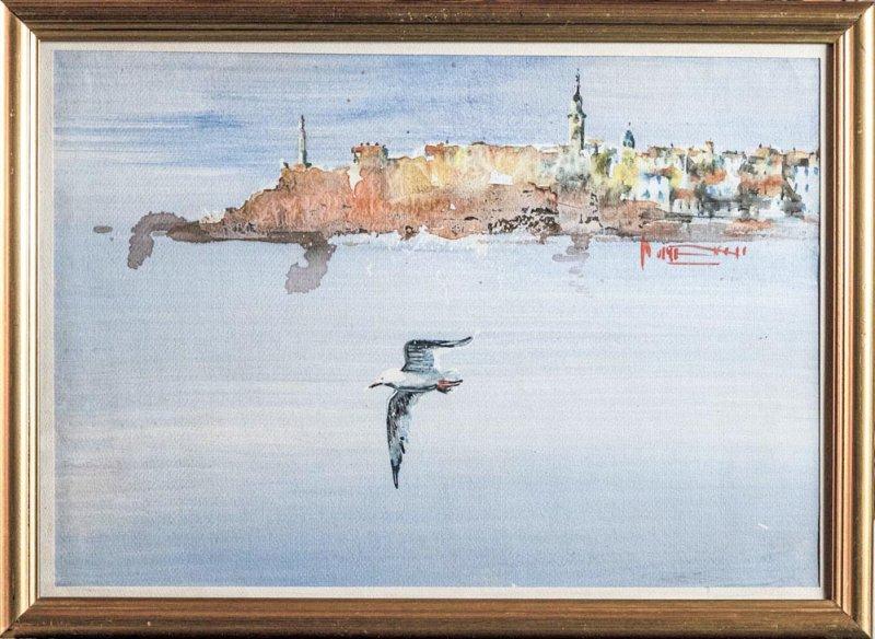 Savski galeb kruži Beogradom, Slika Dragan Rumenčić