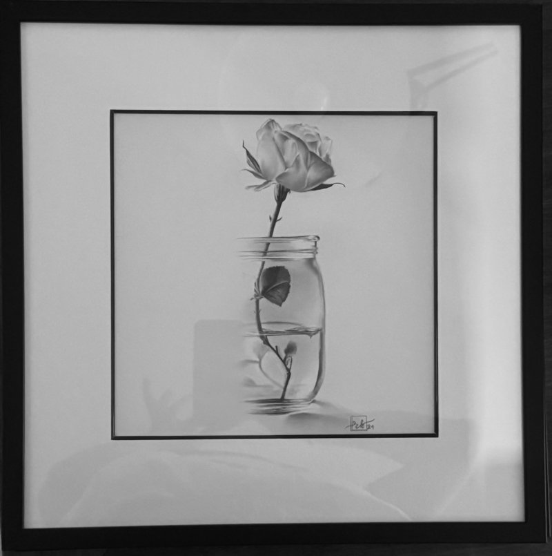 Rose, Drawing Božica Rakić