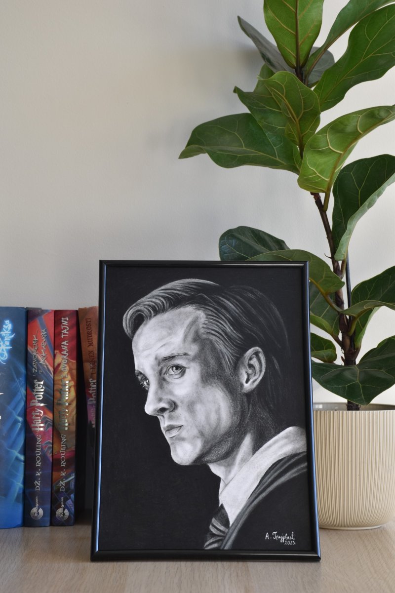 Draco Malfoy, Drawing Anđela Grujović