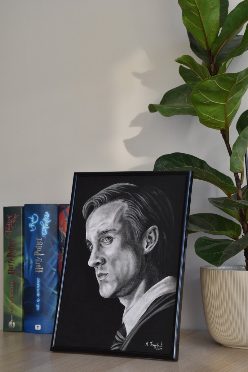 Draco Malfoy, Drawing Anđela Grujović