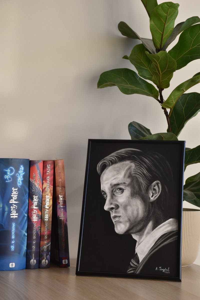 Draco Malfoy, Drawing Anđela Grujović