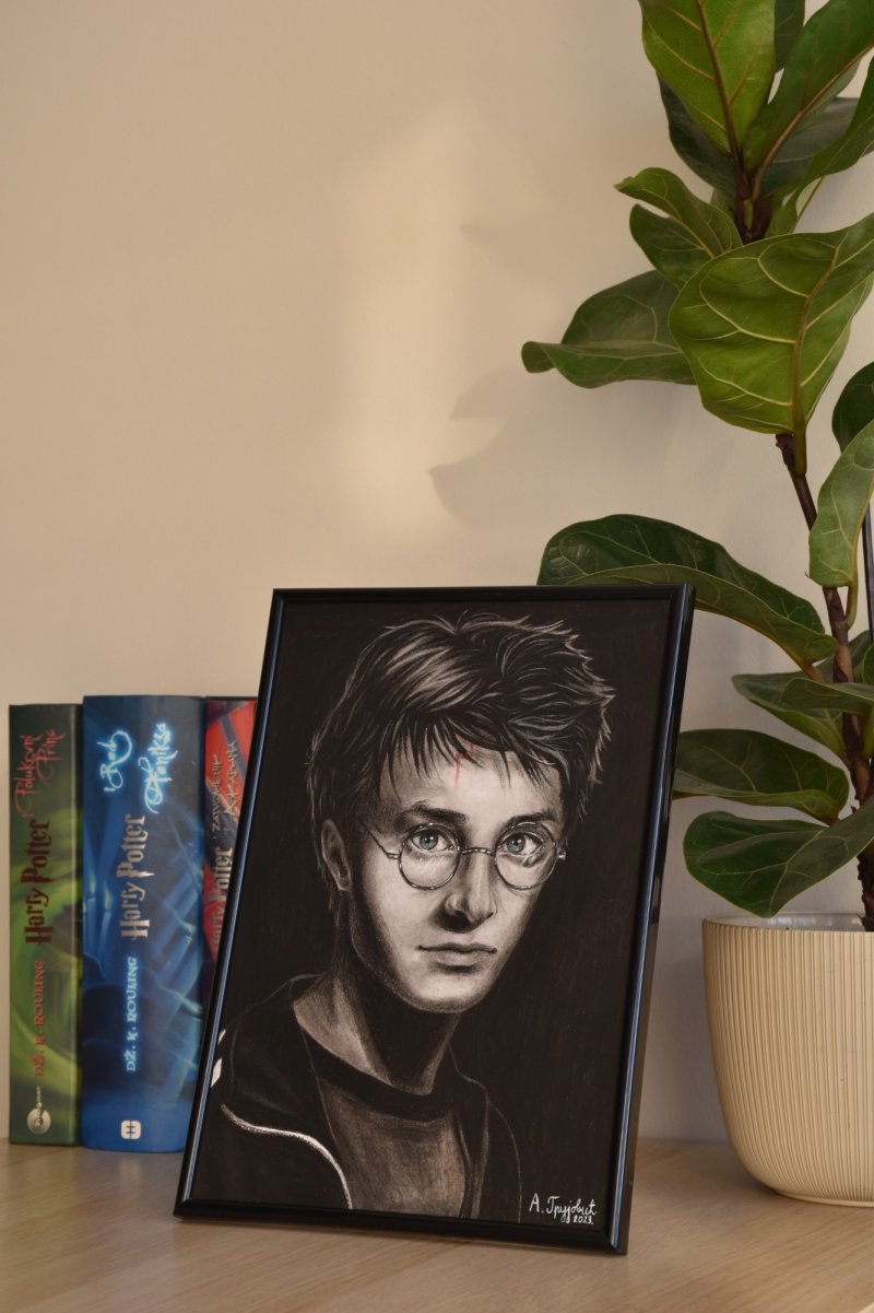 Harry Potter, Drawing Anđela Grujović